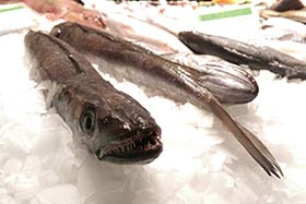 日產1.5噸片冰機（下出冰），人人樂超市連鎖超市保鮮